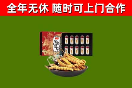 宁河区回收冬虫夏草价格
